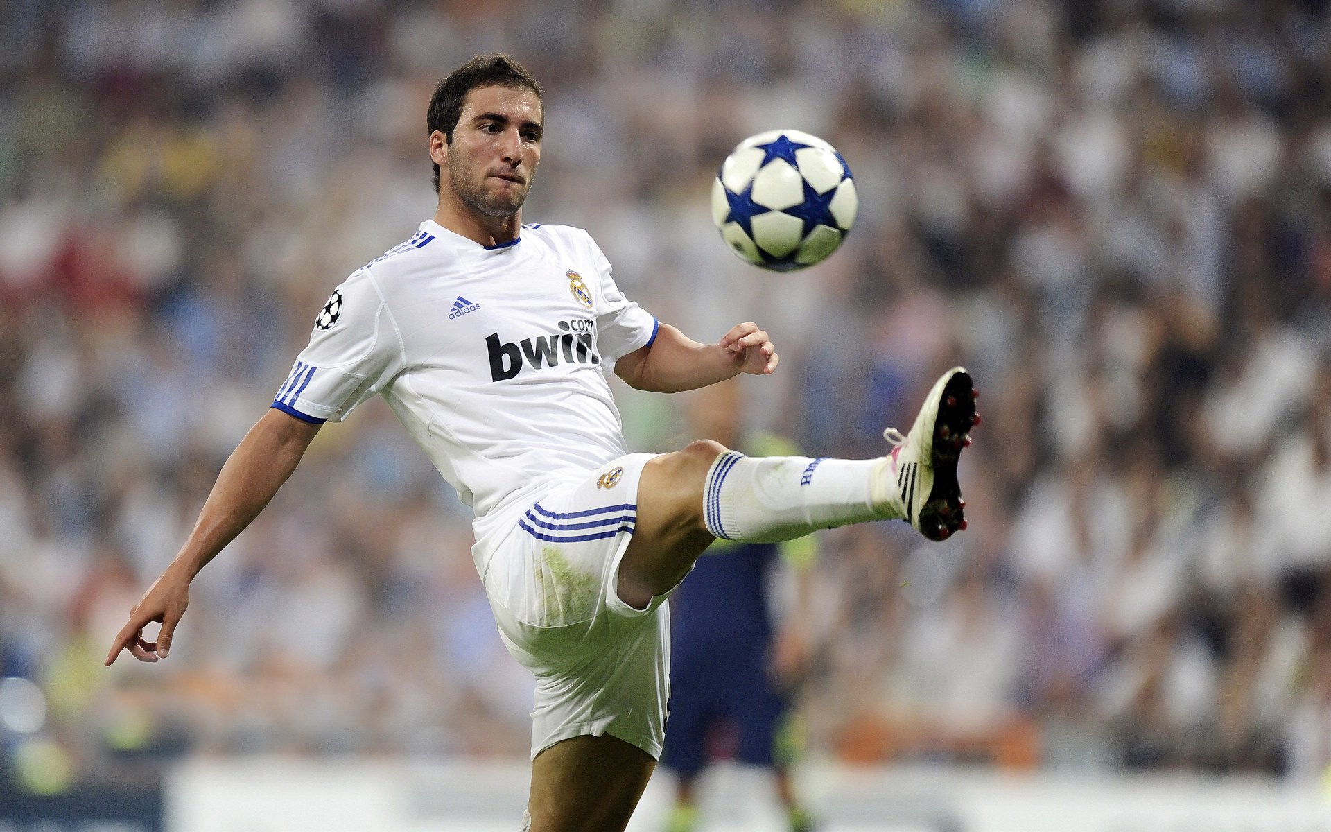 体育纪录片项目入驻高校课堂引导学习兴趣，体育纪录片有哪些